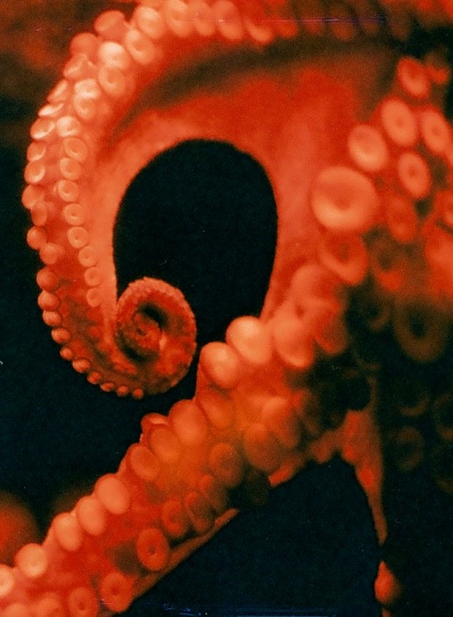 Archillect ID 316874