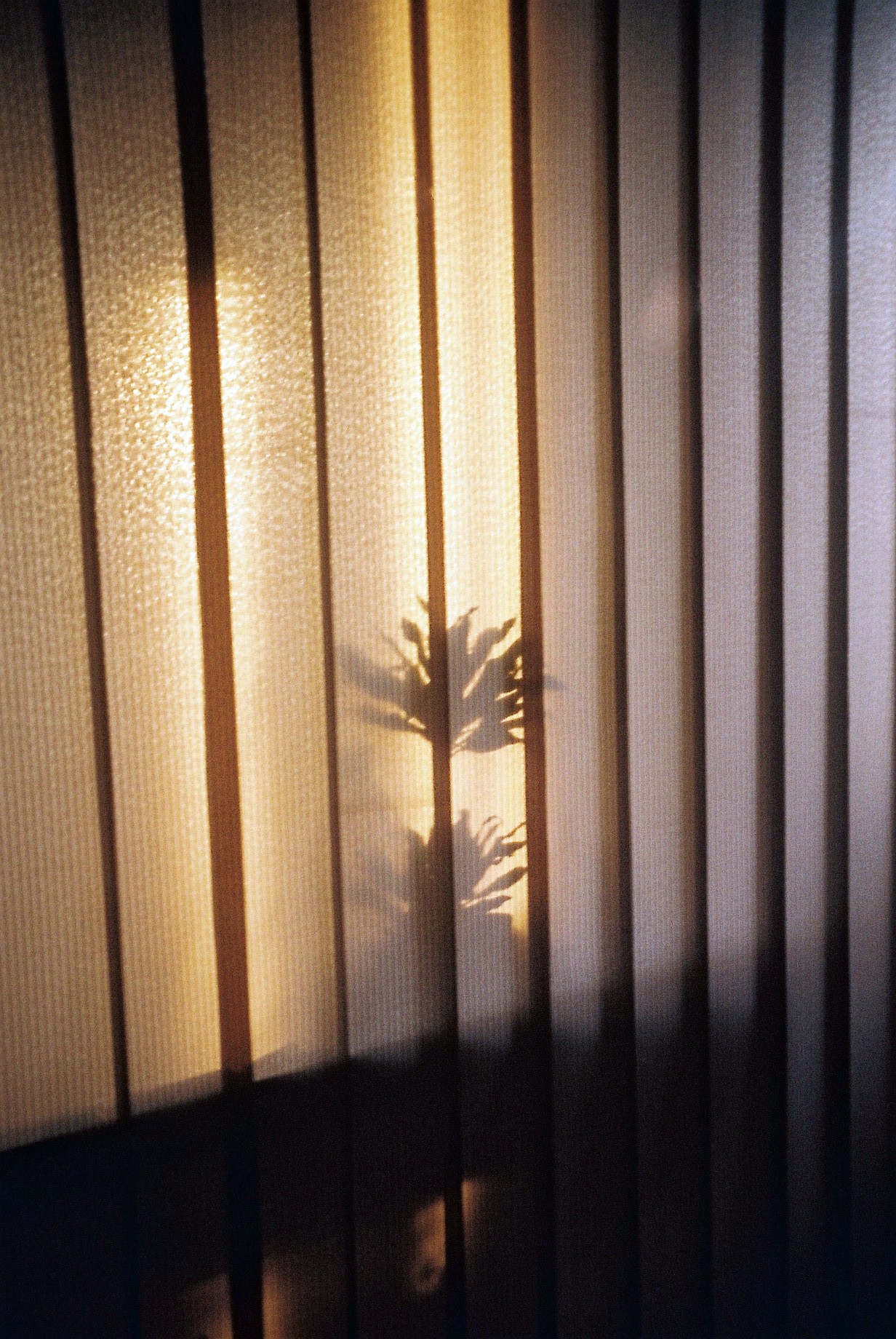 Archillect ID 317150