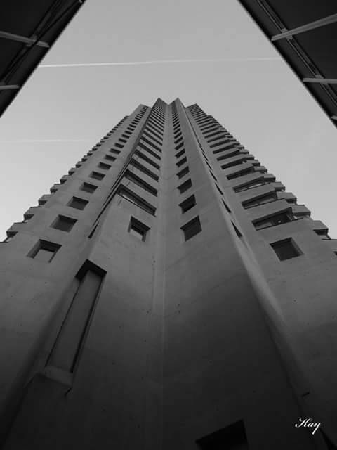 Archillect ID 317154