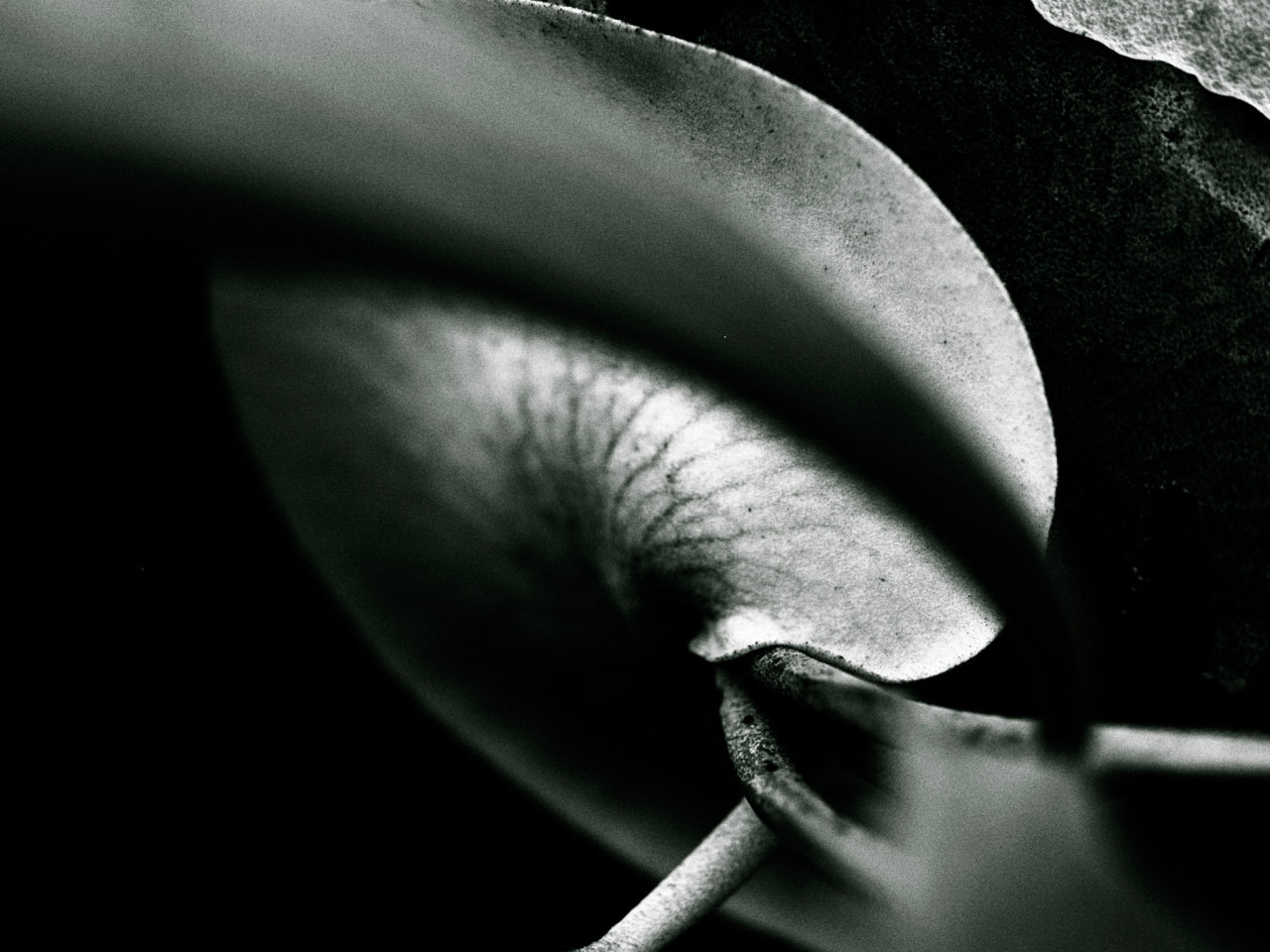 Archillect ID 317273