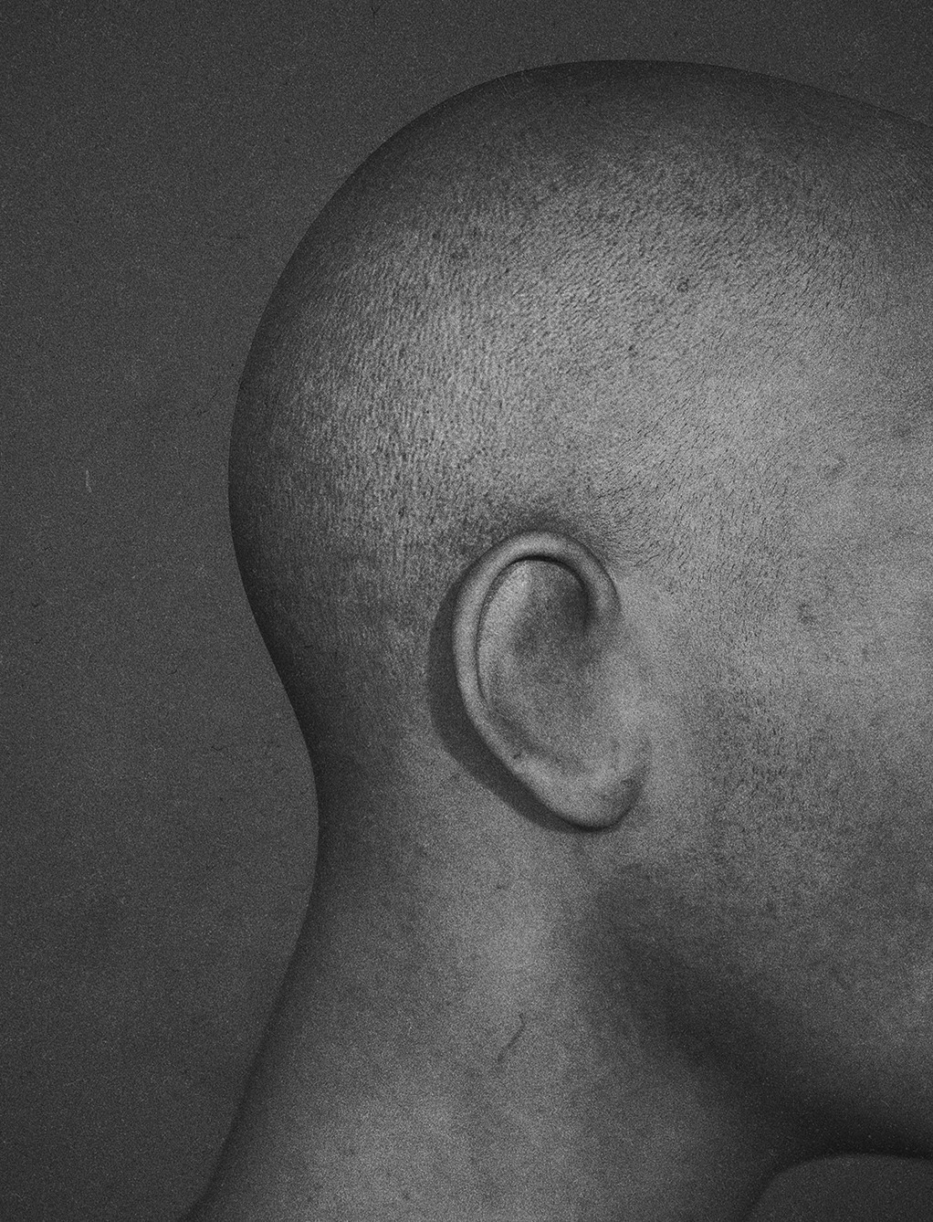 Archillect ID 317357