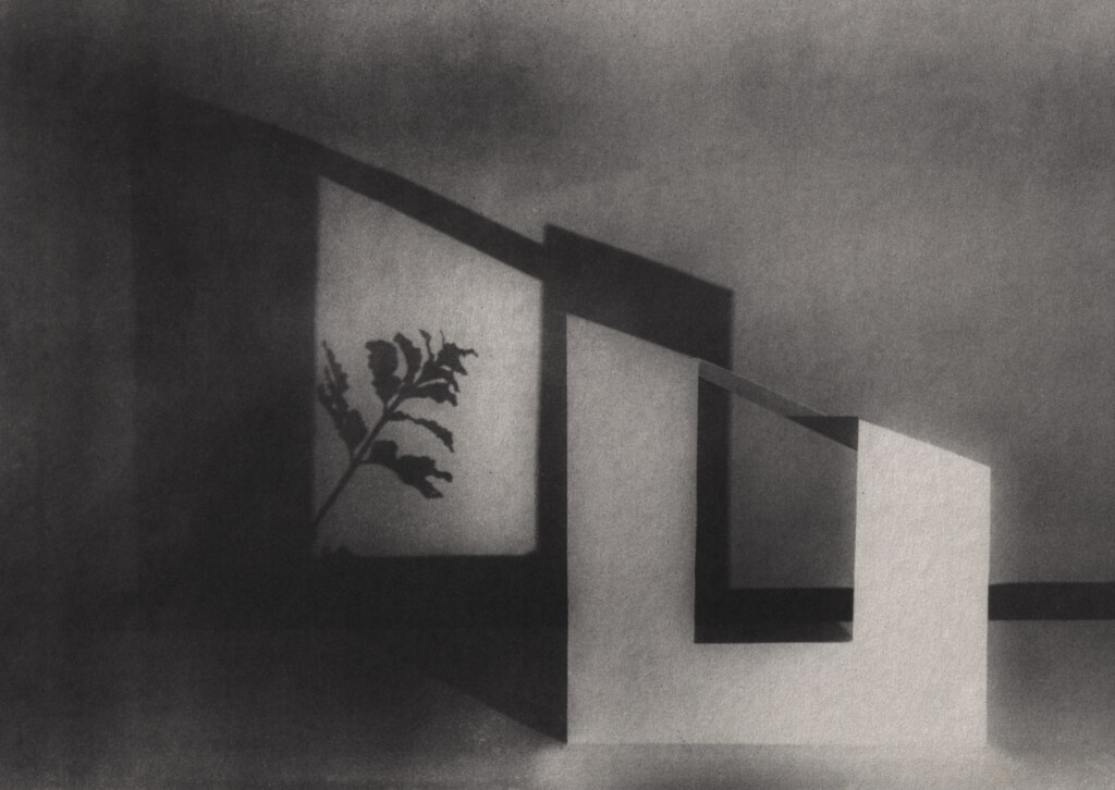 Archillect ID 317529