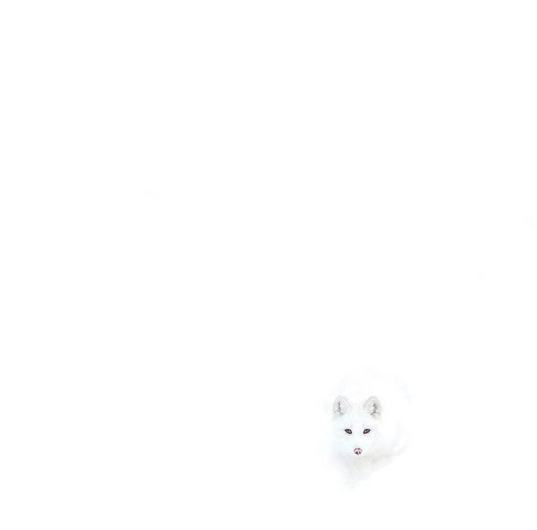 Archillect ID 317889