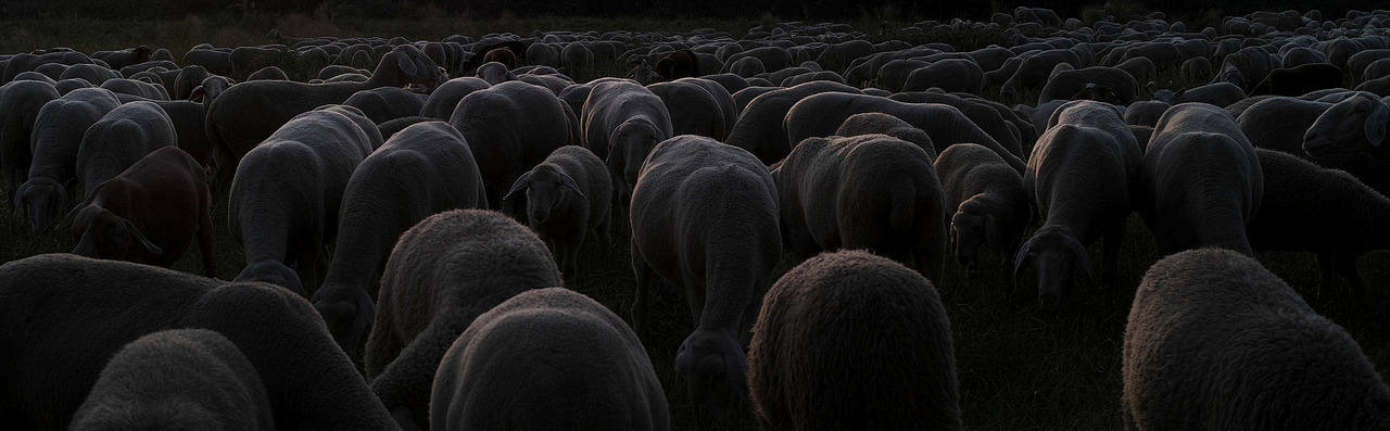 Archillect ID 317904
