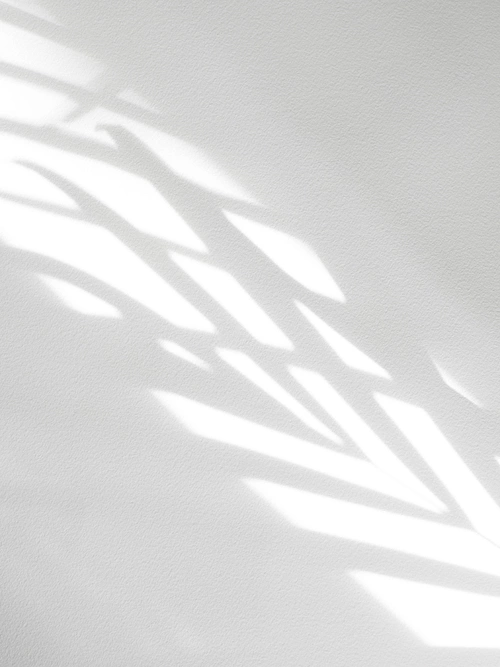 Archillect ID 317963