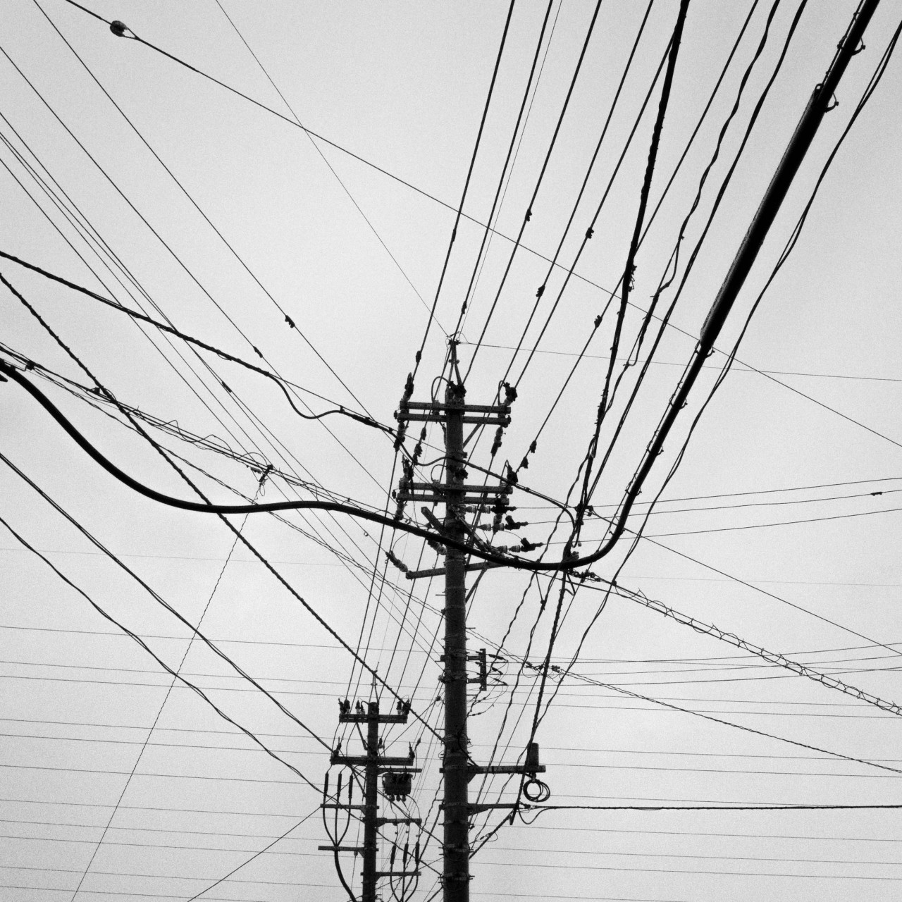 Archillect ID 319275