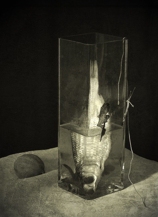 Archillect ID 319411