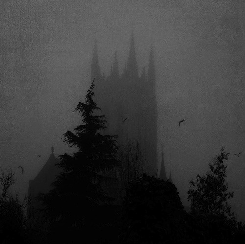 Archillect ID 319493