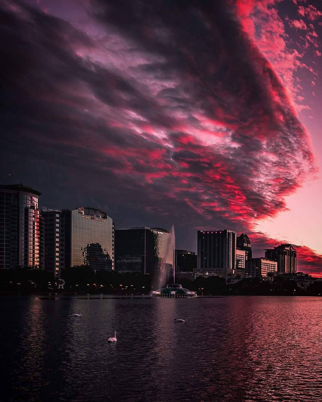 Archillect ID 319620