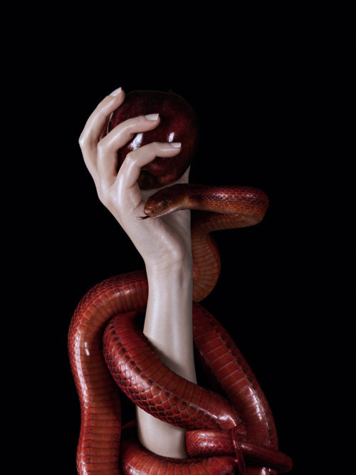 Archillect ID 319637