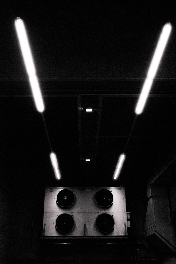 Archillect ID 320194