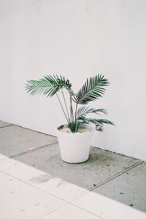 Archillect ID 321063