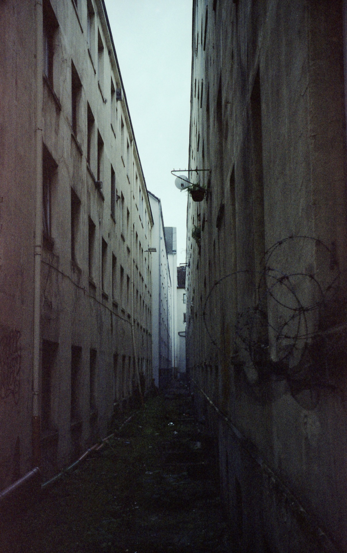 Archillect ID 321064