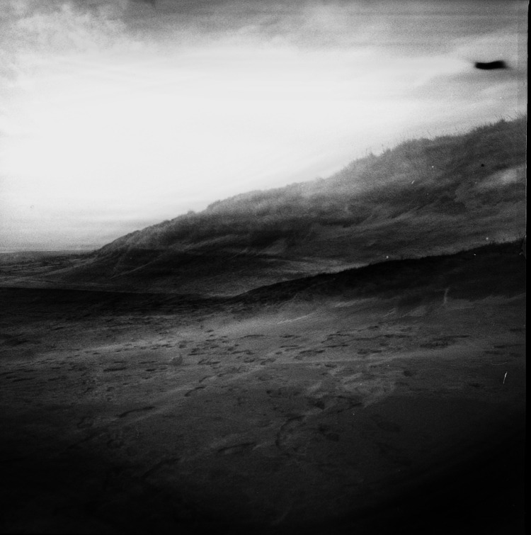 Archillect ID 321214