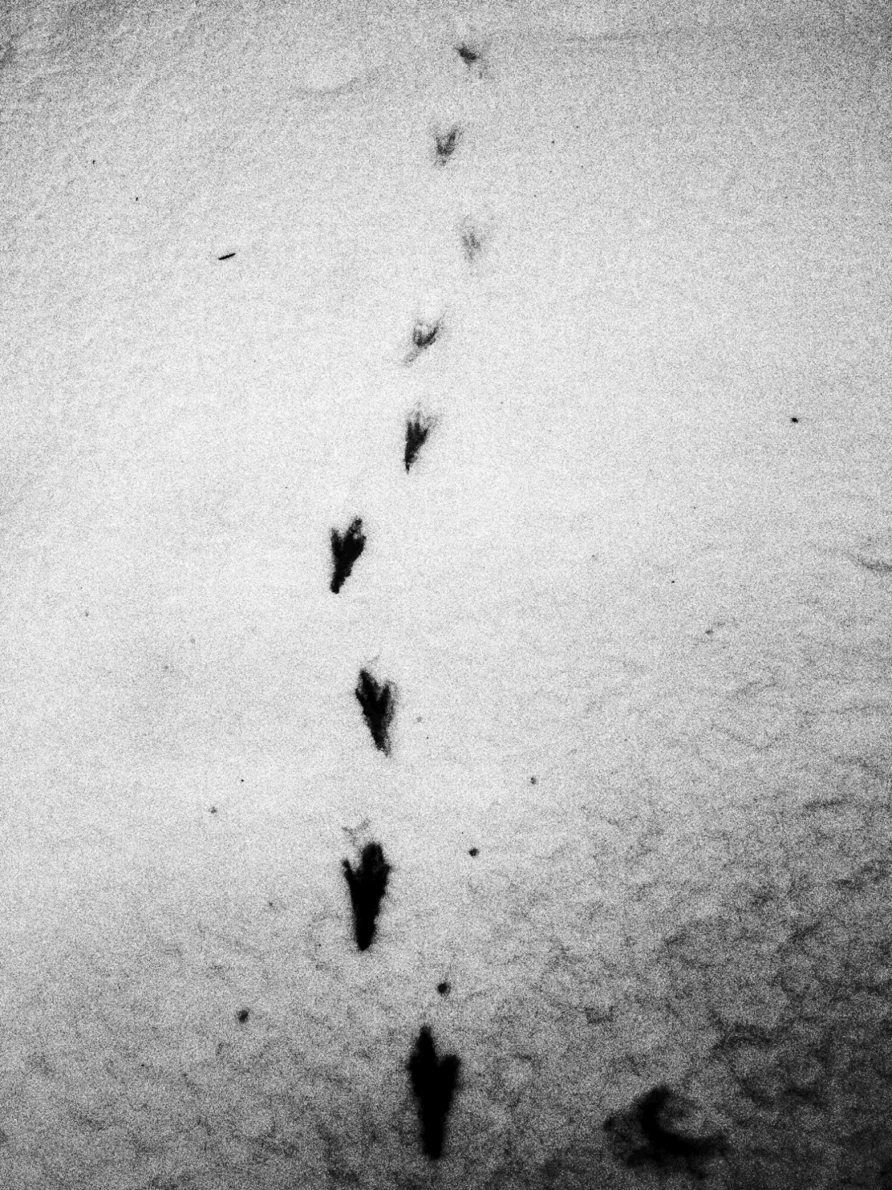 Archillect ID 321396