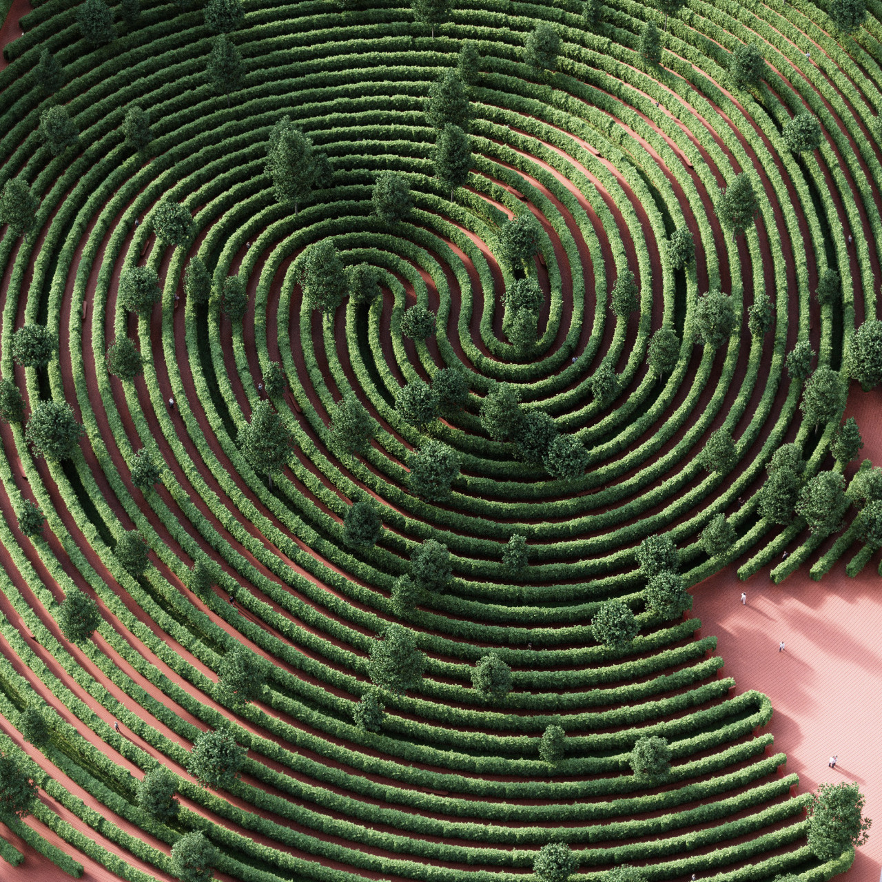 Archillect ID 321404