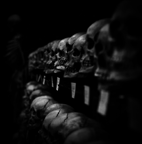 Archillect ID 321564