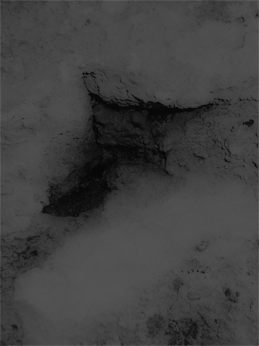 Archillect ID 322158