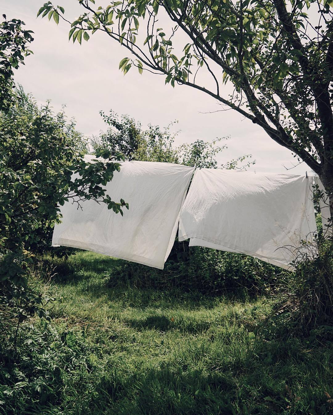 Archillect ID 322174
