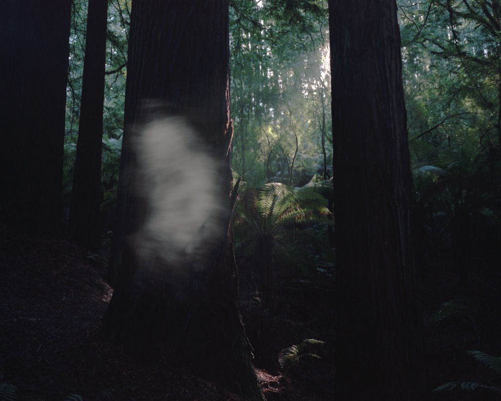 Archillect ID 322745