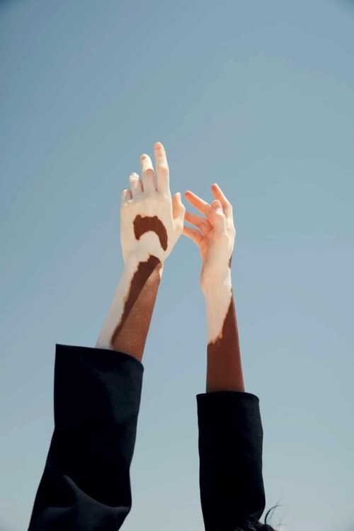 Archillect ID 323328