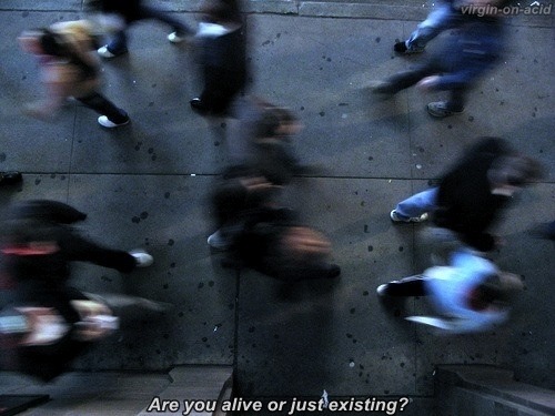 Archillect ID 323428