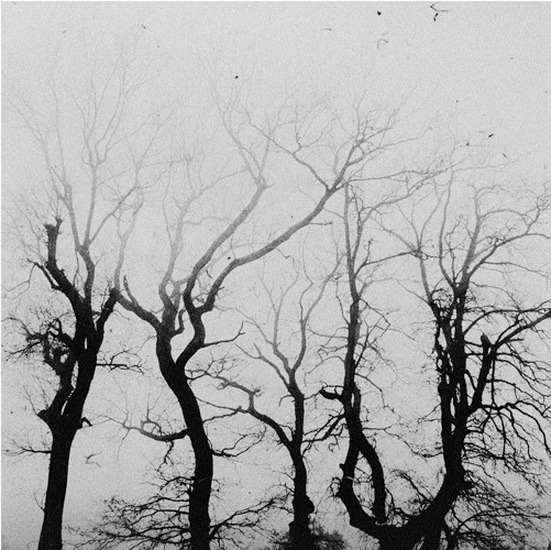 Archillect ID 323453