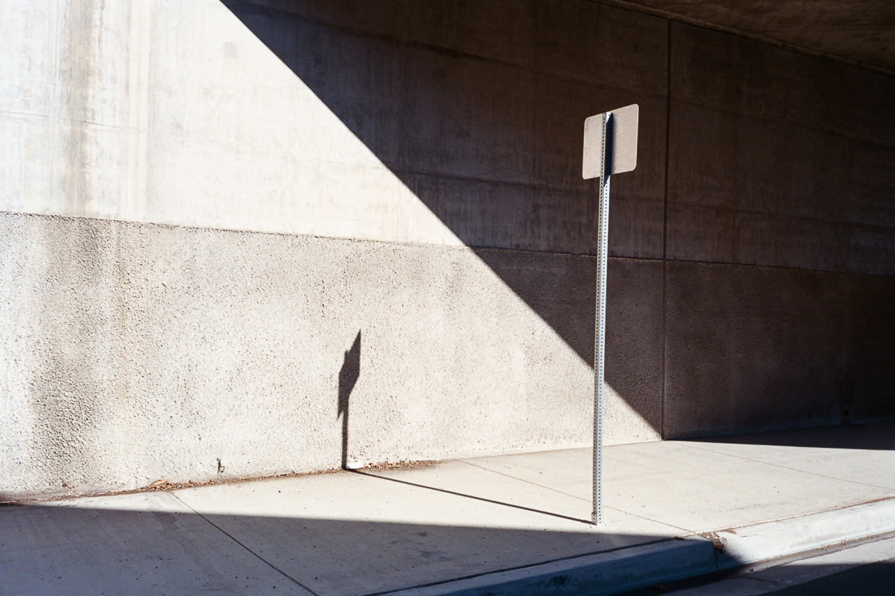 Archillect ID 323881