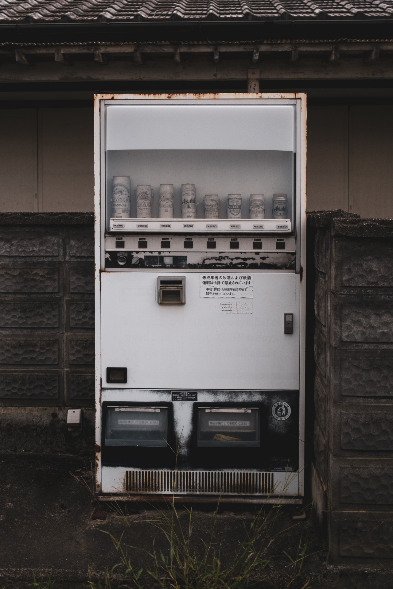 Archillect ID 323896