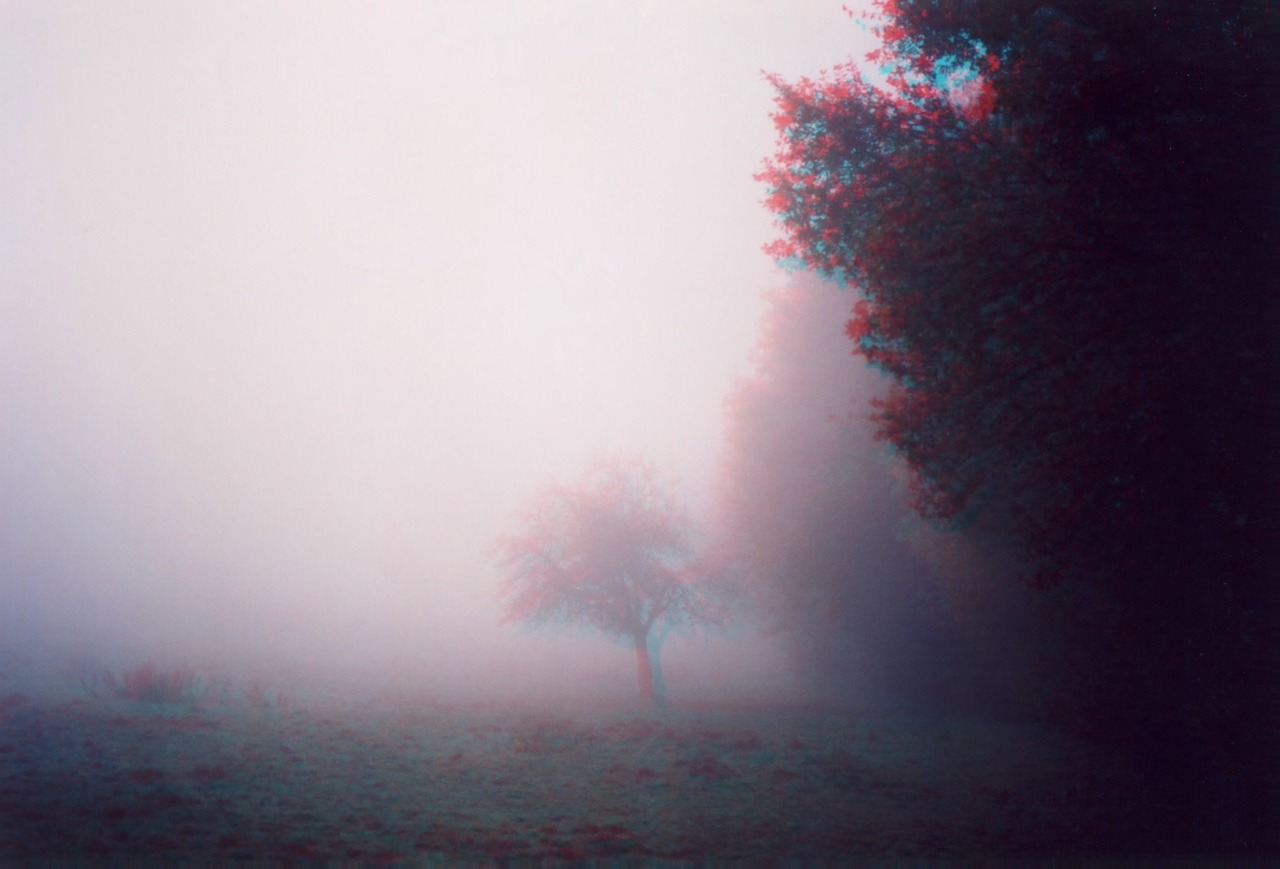 Archillect ID 323996