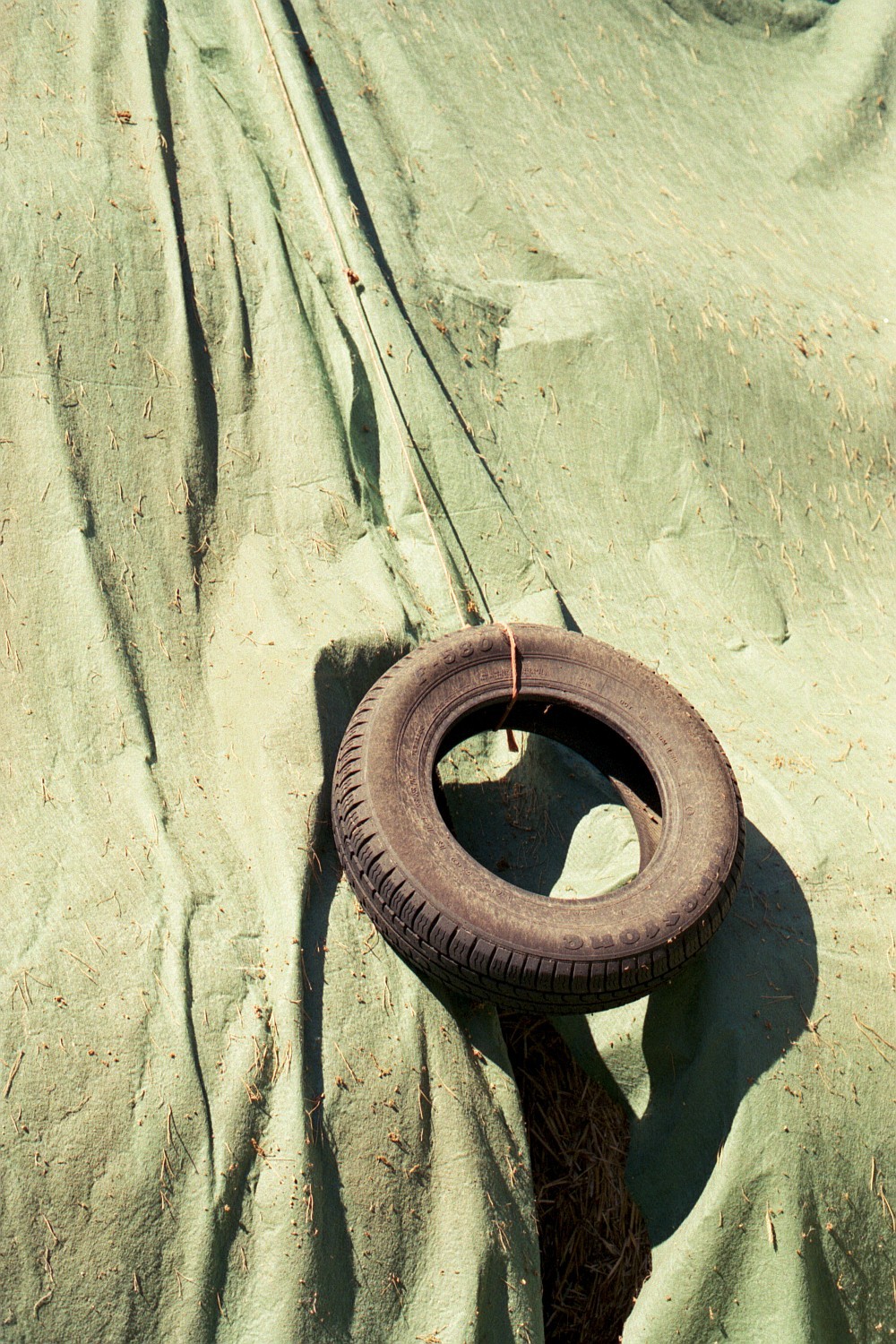 Archillect ID 324060