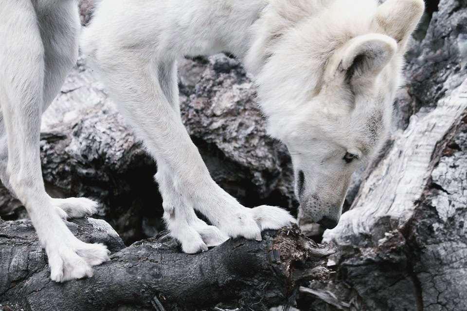 Archillect ID 324183