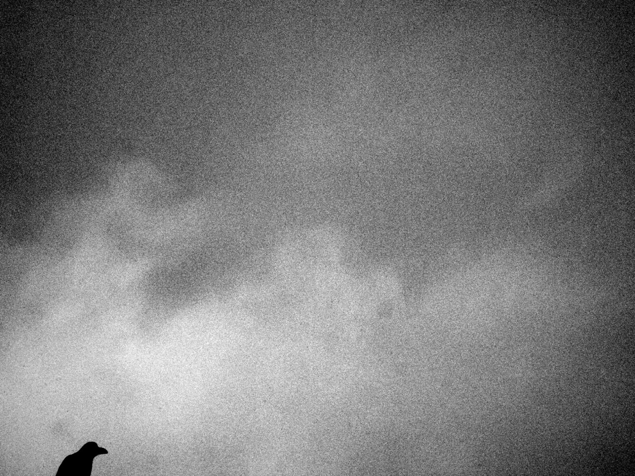 Archillect ID 324358