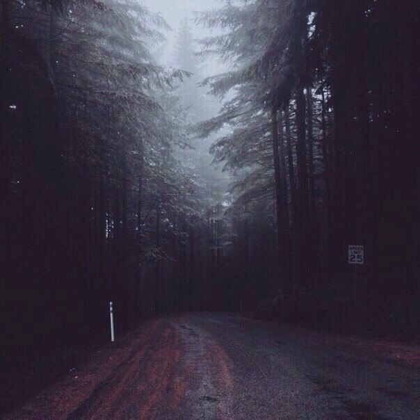 Archillect ID 324381