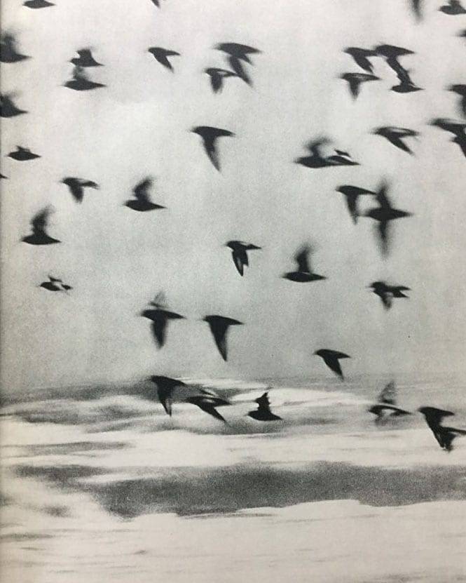 Archillect ID 324482