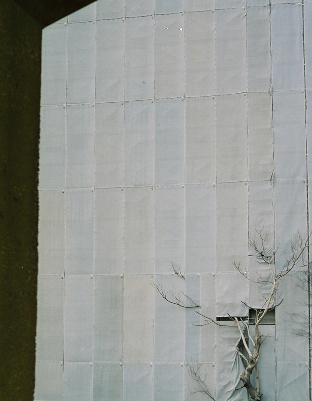 Archillect ID 324576