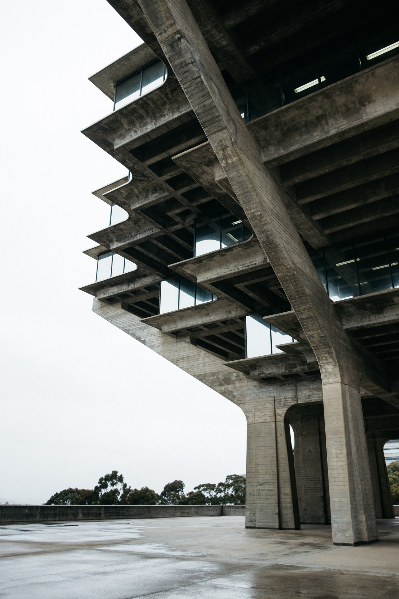 Archillect ID 324592