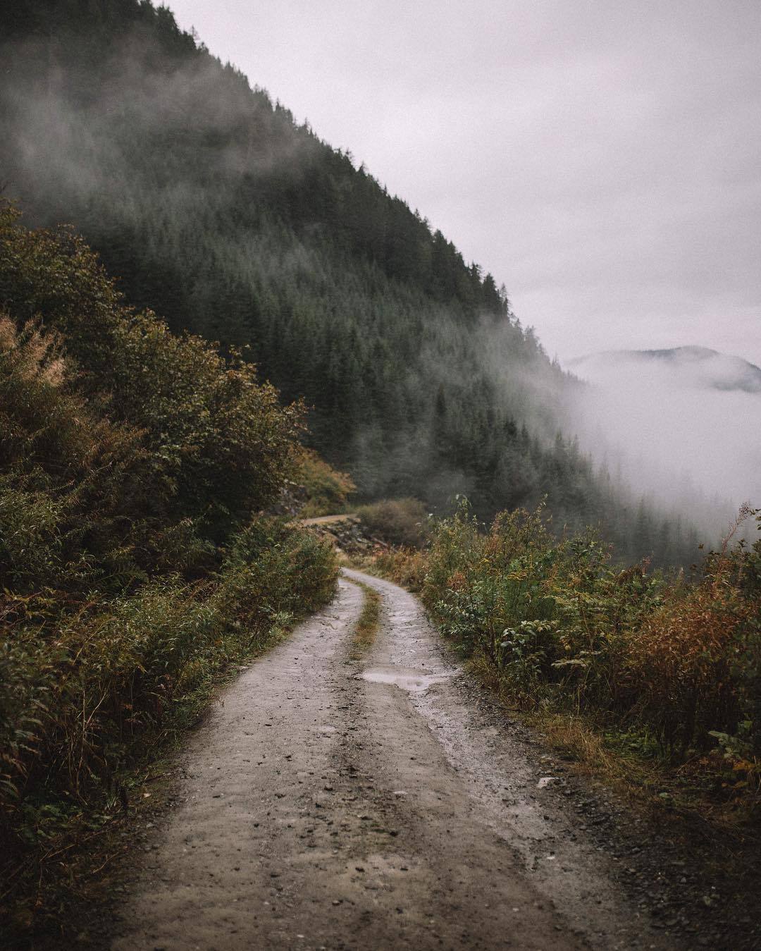 Archillect ID 324815