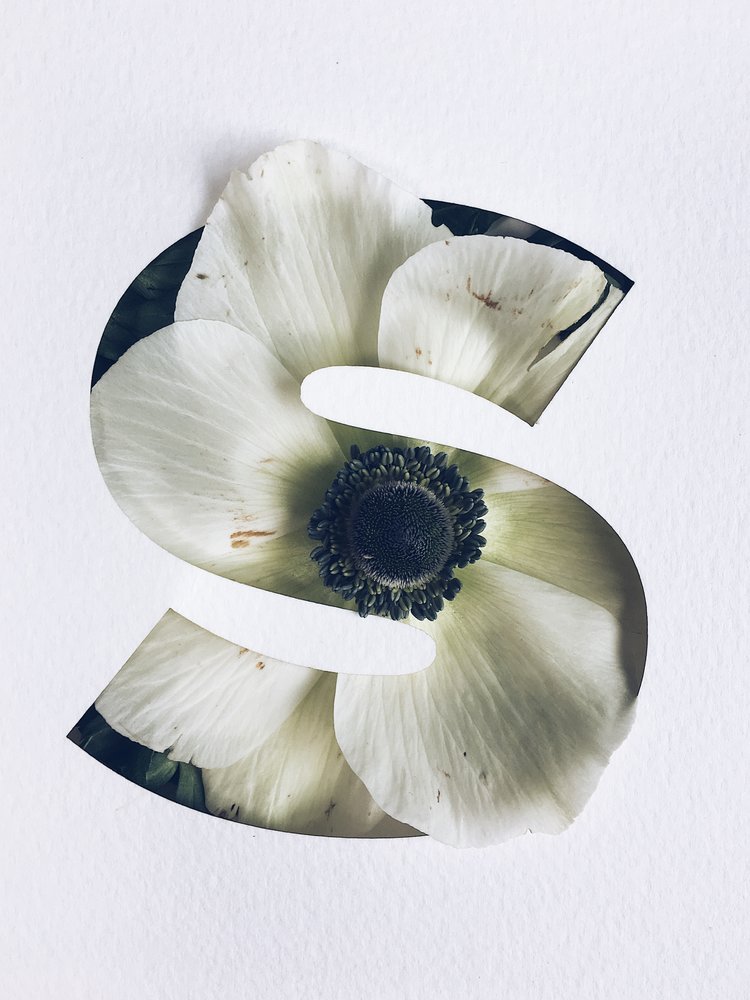 Archillect ID 325339