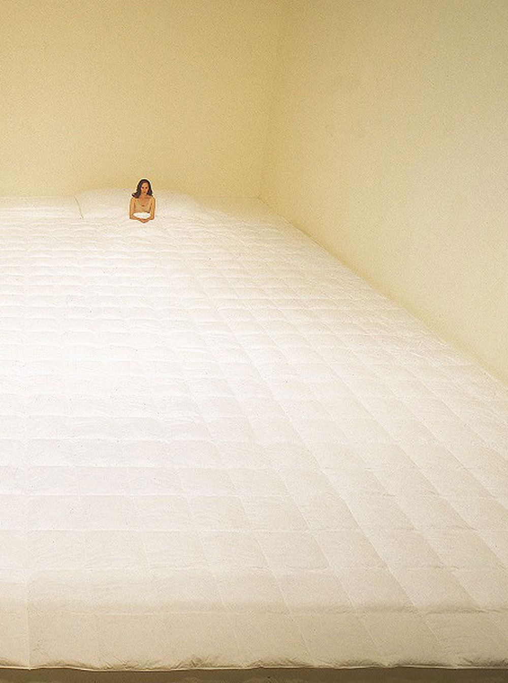 Archillect ID 325650