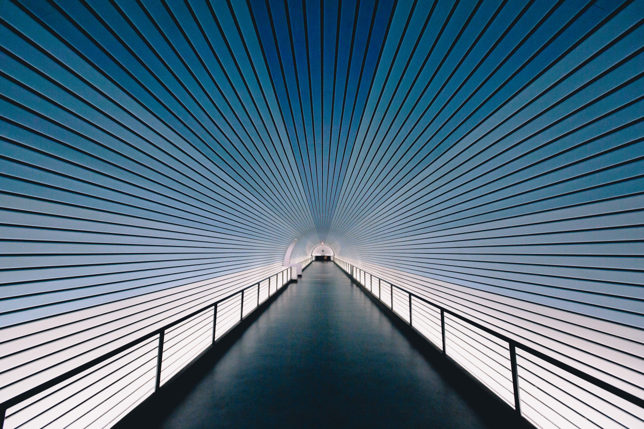 Archillect ID 325999