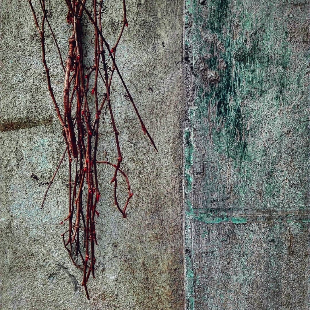 Archillect ID 326052