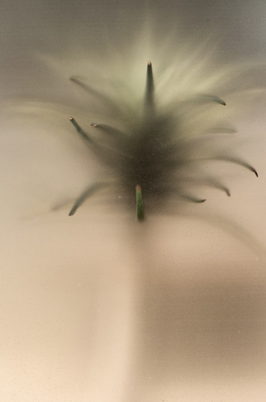 Archillect ID 326226