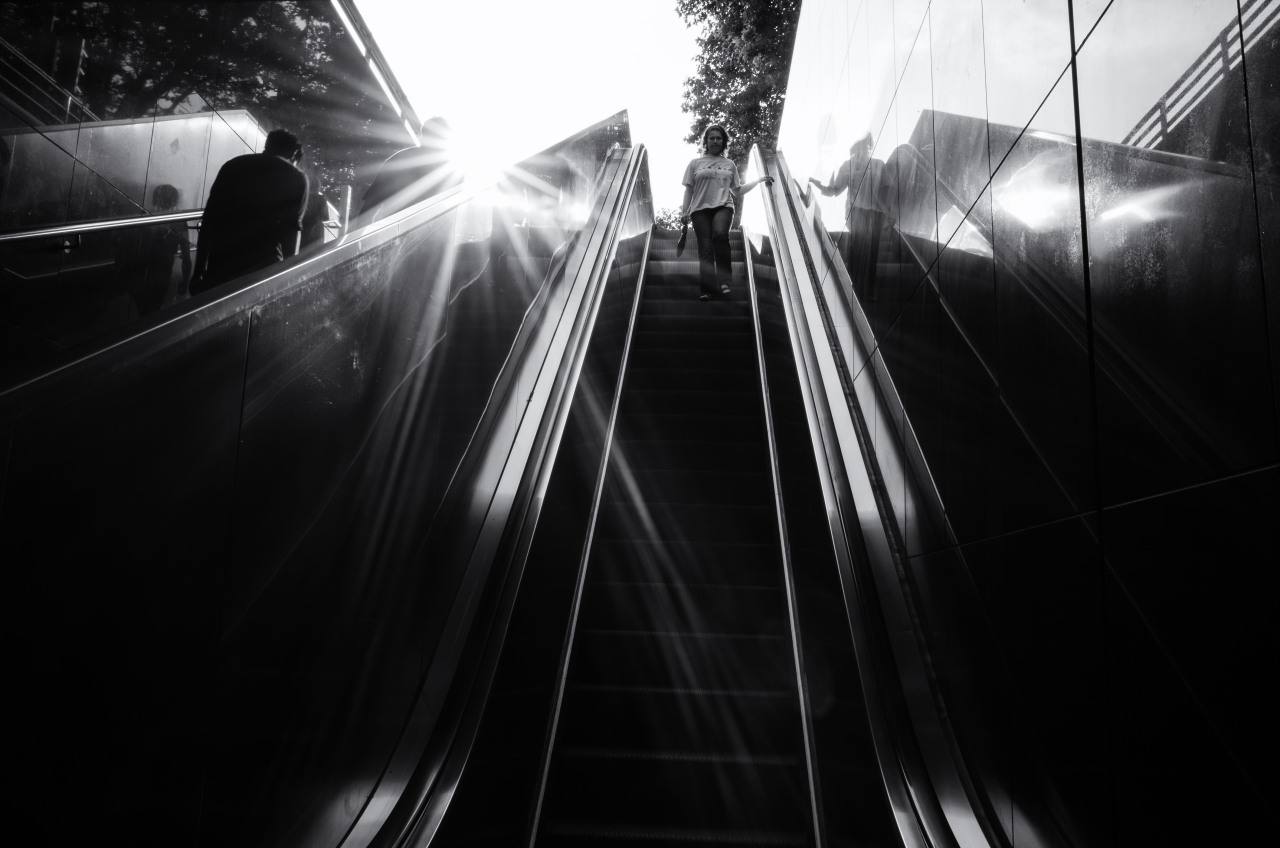 Archillect ID 326372