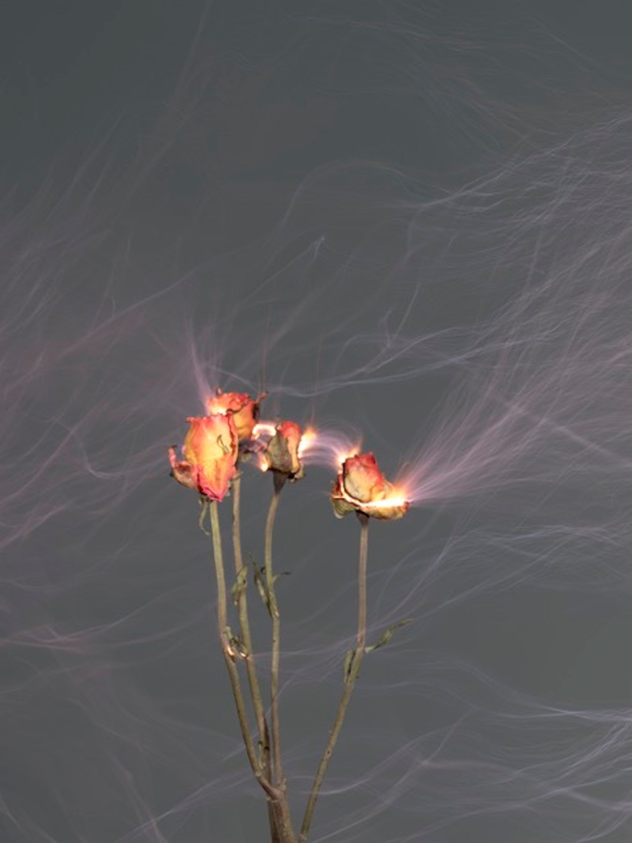 Archillect ID 327250