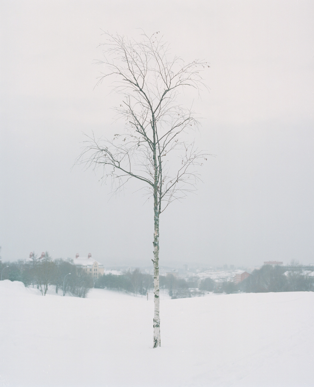 Archillect ID 327703