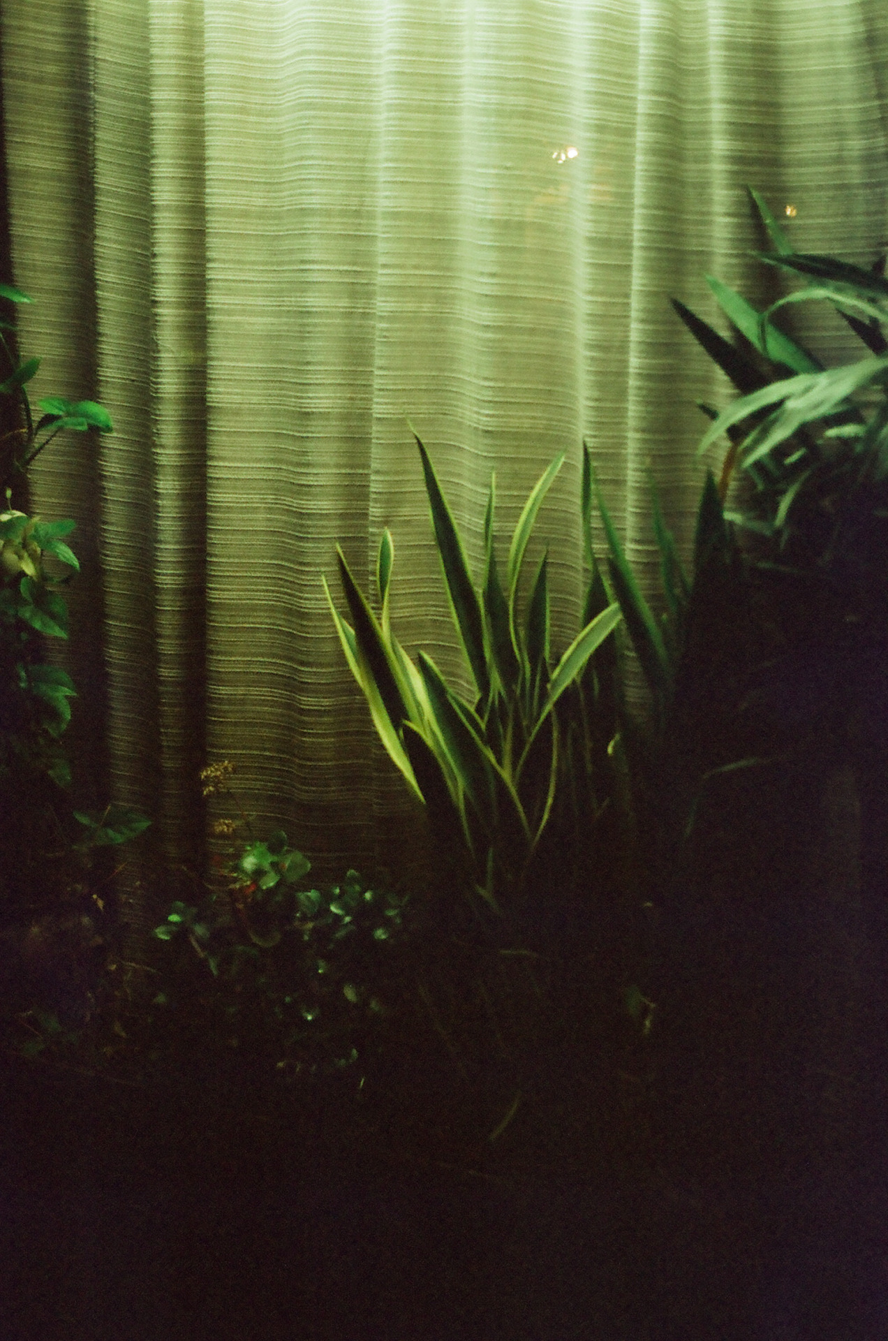 Archillect ID 327895