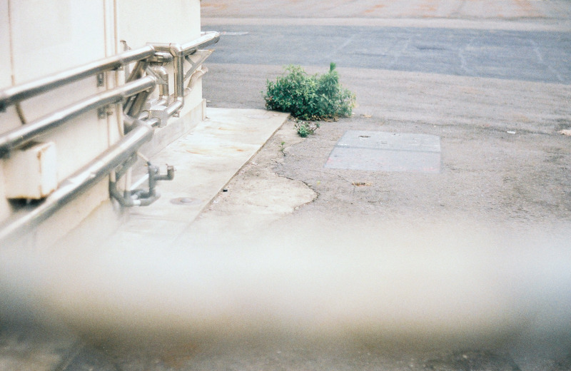 Archillect ID 328170