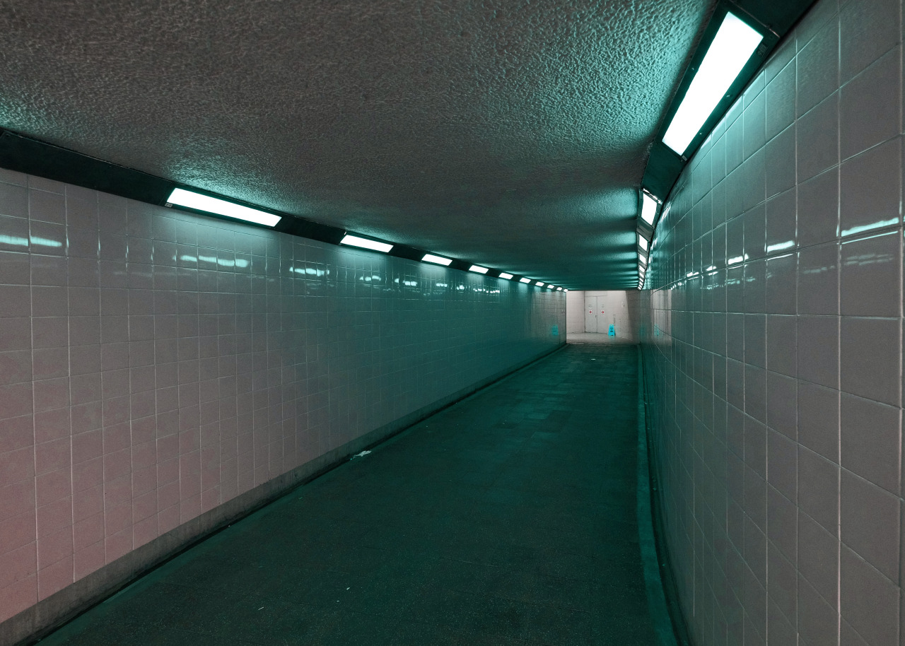 Archillect ID 328451