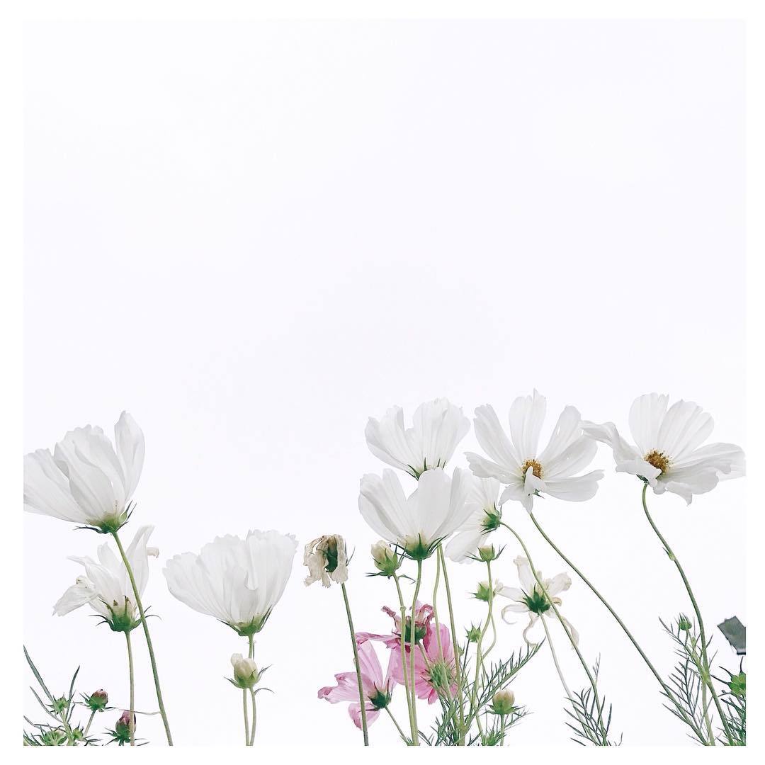 Archillect ID 328617